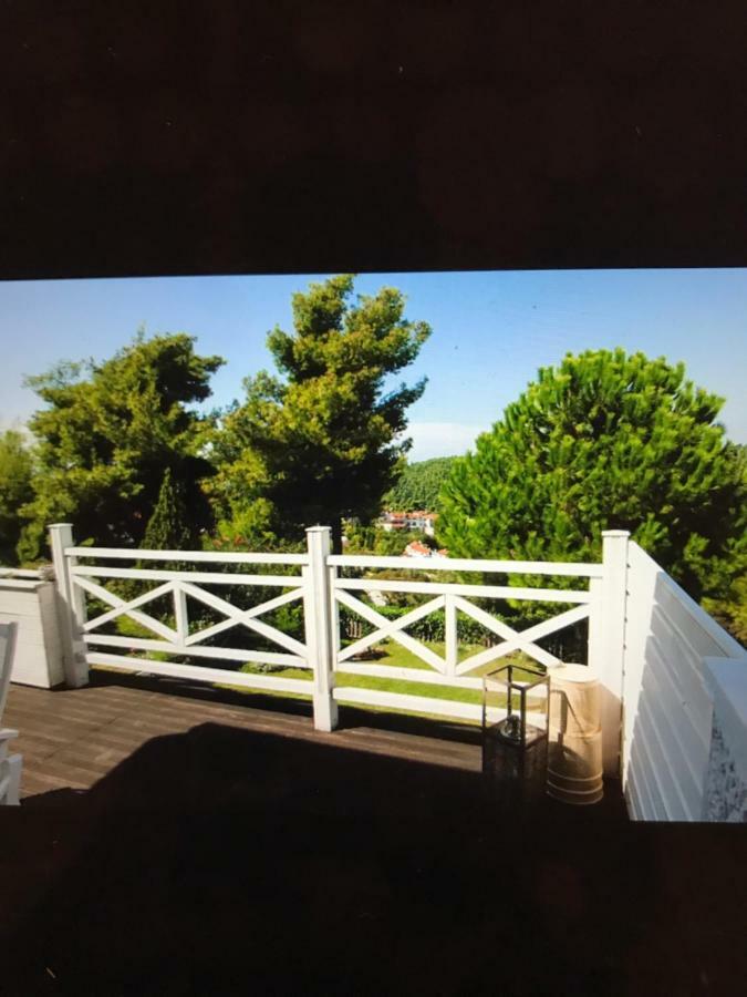 Elani Beautiful Villa Siviri Exterior photo